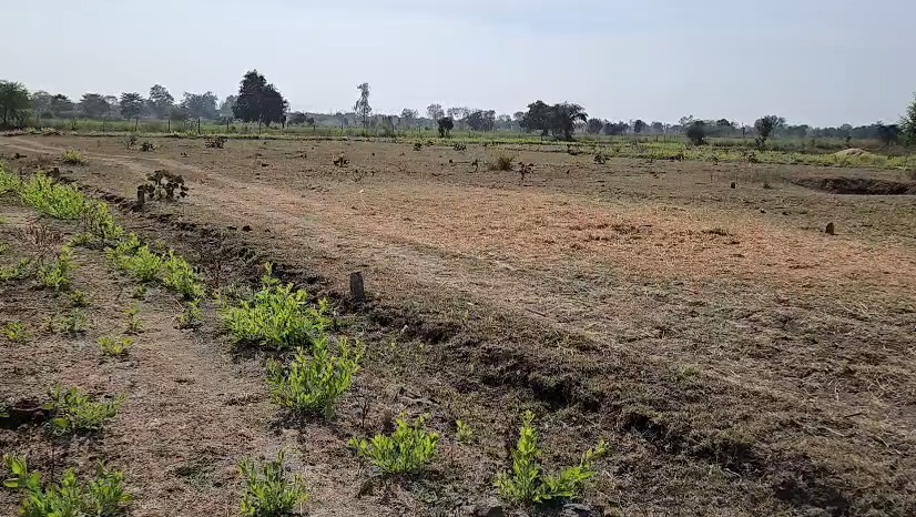 अवैध कॉलोनी काटने वाली महिला पर FIR दर्ज