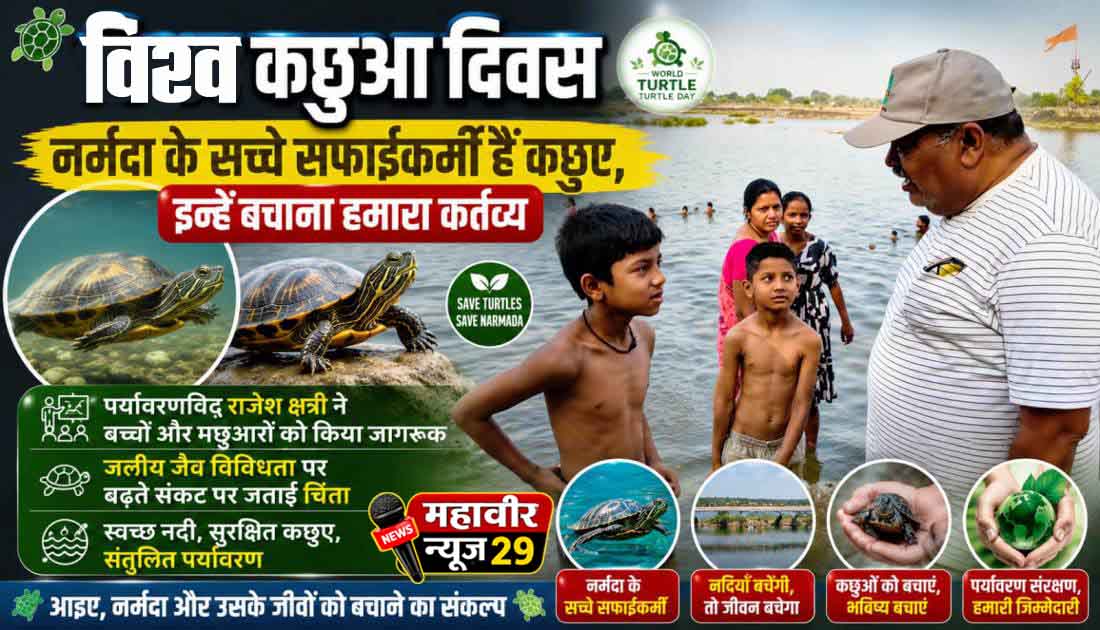नर्मदा के सच्चे सफाईकर्मी हैं कछुए
