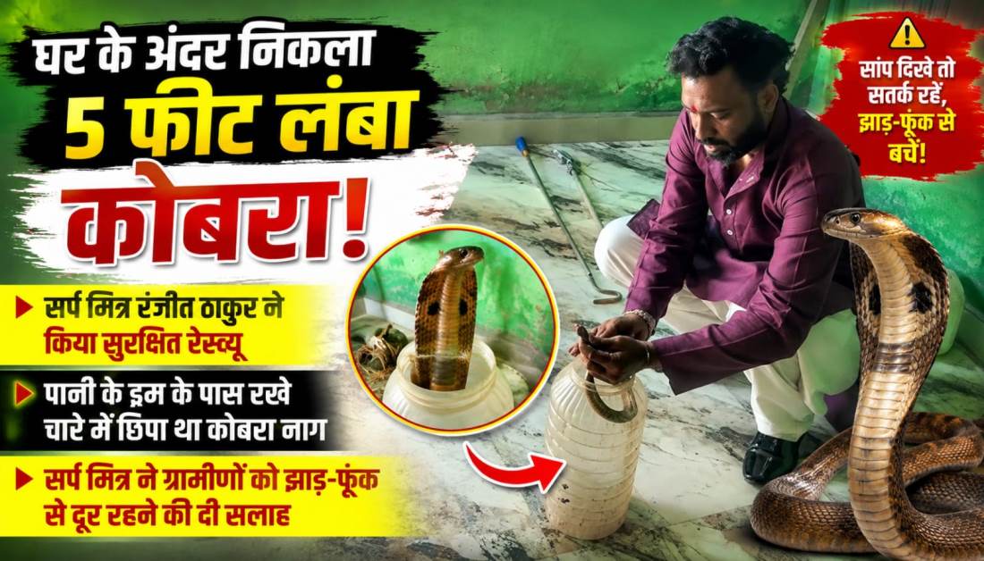 घर के अंदर निकला 5 फीट लंबा कोबरा